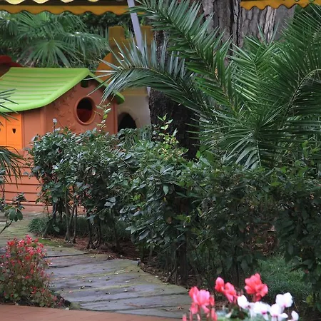 Raffaelli Villino Limoni フォルテ・デイ・マルミ